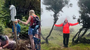 Going to Extremes for the Perfect Shot: Disruptive Tourists