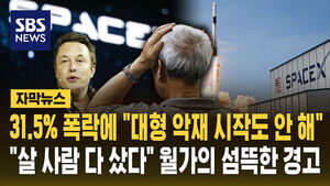 스페이스 엑스 폭락