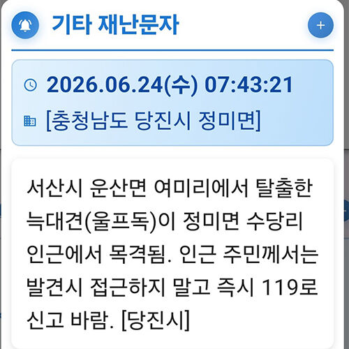 당진시에서 발송한 재난안전문자 (사진=재난안전문자 갈무리, 연합뉴스)