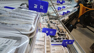 Ministry of Oceans and Fisheries Suspends Hairtail Fishing Ban This Year to Stabilize Food Prices