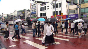 Heavy Rain Since Last Weekend, But Is It Not Yet the Monsoon Season?