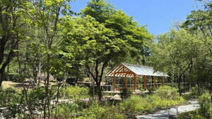 30,000-Square-Meter 'Korean Forest Garden' to Open on Namsan Mountain