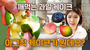 깨먹는 과일 케이크 아그작 케이크가 뭔데요?