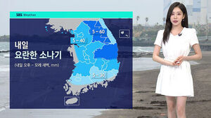 Weather: Showers Expected Tomorrow in Jeju, Southern and Eastern Coasts with Up to 30mm of Rain