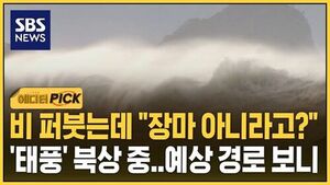 Heavy Rain Pours, Typhoon Approaches: Why Jeju Is Not Yet in Monsoon Season