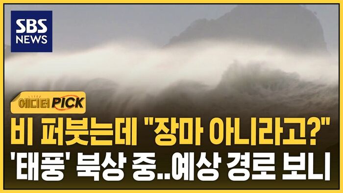 [에디터픽] 비 퍼붓는데 태풍 북상&hellip;아직 장마 아니라는 제주 상황