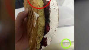 Ranking News: "There's a Hair in My Food, Give Me a Refund"... Is It an AI-Manipulated Photo?