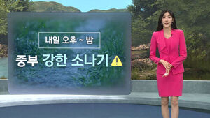 Heavy Downpours in Central Regions; Up to 30mm of Rain Expected in Central and North Gyeongsang Provinces