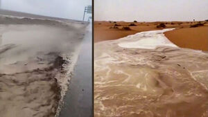 "A Year's Worth of Rain in One Day": Desert Floods Leave Chaos in Their Wake