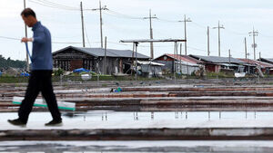 Salt Farm Labor Exploitation: "Just When You're About to Forget, It Happens Again"... Desolation Hovers Over Salt Fields