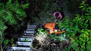 70-Year-Old Dies After Falling 3 Meters While Walking in Jeongseon Recreational Forest