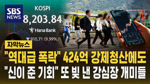 [자막뉴스] "역대급 폭락" 424억 강제청산 비명에도&hellip;"신이 준 기회" 또 빚낸 강심장 개미들