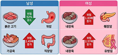 육류 종류별·암 종별 연관성 분석에 대한 AI 생성 이미지 (사진=서울대병원 제공, 연합뉴스)