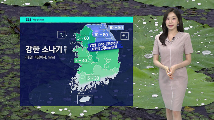 [날씨] 강한 소나기&hellip;중부 &middot; 경북 우박 주의