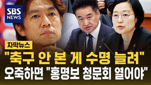 Not Watching Soccer May Have Extended Our Lives: Lawmakers Call for 'Hong Myung-bo Hearing'