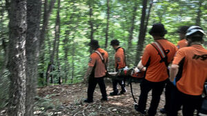 Hiker in His 50s Dies of Cardiac Arrest on Mt. Unjang in Wanju, Jeonbuk