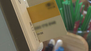 Two Middle School Girls Caught After Using Stolen Credit Card 11 Times