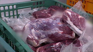 4 Billion Won Worth of Hanwoo Beef Vanishes: The Truth Behind a Shadowy Butcher Shop