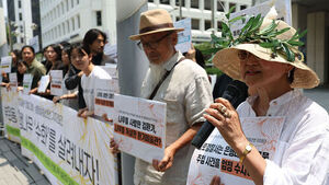 Buam-dong Residents File Complaint Against Whanki Museum Director Over Alleged 'Poisoning' of Ginkgo Tree