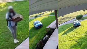 Clear Tire Tracks Left on Lawn: Homeowner 'Baffled' After Checking CCTV