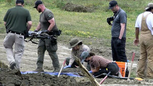 "Horrific Discovery": Dozens of Dogs Found Buried with Bullet Fragments