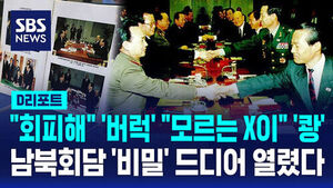 D-Report: North Korea's Nuclear Inspection Offensive and South Korea's Fury Over Yongbyon Denial 30 Years Ago