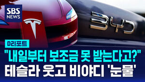 Tesla Smiles, BYD Frowns: New EV Subsidy Rules Take Effect Tomorrow