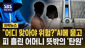 Son Who Used AI to Plan Mother's Murder Sentenced to Prison