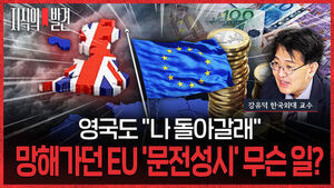 Discovery of Knowledge: UK Regrets Brexit? Why the EU Is Suddenly in High Demand (ft. Professor Kang Yoo-duk)