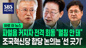 홍익표 수정