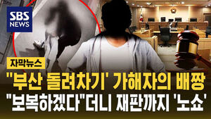 Defendant in 'Busan Roundhouse Kick' Case Delays Trial with Repeated 'No-Shows'