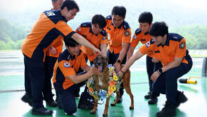 Chungseong, Who Saved 16 Lives, Retires to a New Family
