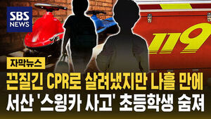 서산스윙카