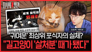 [지식의 발견] 성역 되어버린 '길고양이' 실체&hellip; "살처분 빼고는 답이 없습니다" (ft. 유튜버 '새덕후')