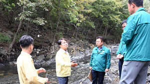Administrative Enforcement Begins Against 1,900 Illegal Commercial Facilities in Streams and Valleys