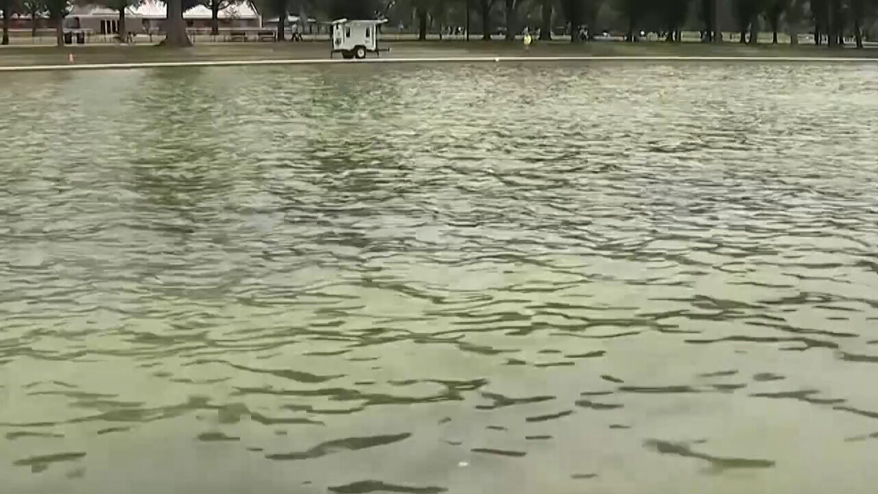 Algae bloom occurring shortly after reopening