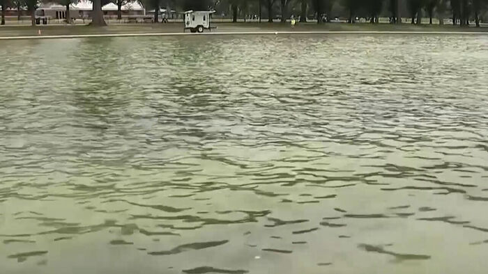 Algae bloom occurring shortly after reopening