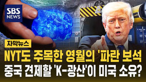 영월 트럼프