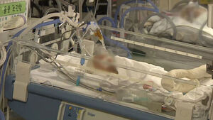 Korean Society of Neonatology Warns of "Imminent Collapse" of NICUs, Urges Presidential Emergency Action
