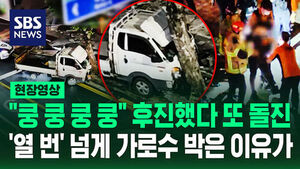 Truck Repeatedly Crashes into Tree for Over 5 Minutes in Daejeon