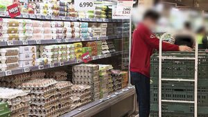 12,000 Jobs at Risk as Homeplus Suppliers Face Mounting Losses