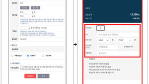 "진짜 결제창인 줄 알았는데"&hellip;쇼핑몰 해킹해 카드 정보 가로챈 피싱 기승