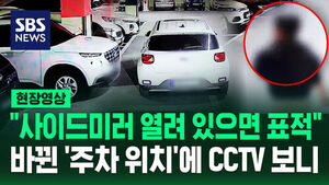 [현장영상] 차는 그대로 있지만 '주차 위치'가 바뀌었다 '황당 절도' 잡고 보니