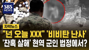 [자막뉴스] "넌 오늘 XXX" '비비탄 난사'&hellip;강아지 죽인 '현역 군인' 구형이?