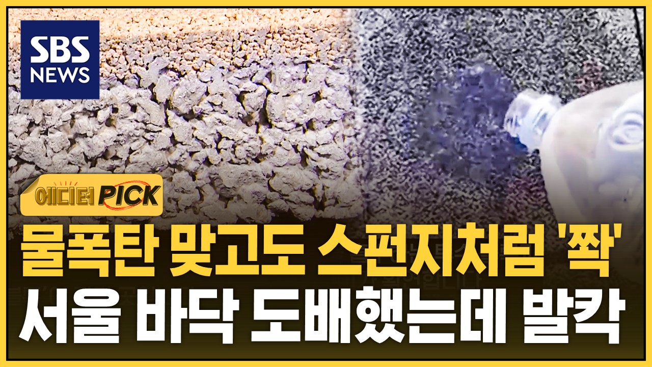 [에디터픽] 물폭탄 맞고도 스펀지처럼 '쫙'..서울 바닥 도배했는데 발칵