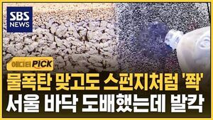 [에디터픽] 물폭탄 맞고도 스펀지처럼 '쫙'..서울 바닥 도배했는데 발칵