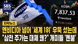 [자막뉴스] 엔비디아 제치고 '세계 1위' 우뚝 섰는데&hellip;"삼전 주가는 대체 왜?" 개미들 '멘붕'