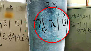 "Already 500 of Them": Mysterious 'Kim Ji-mi' Graffiti Covers Seoul