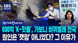 [AFTER 8NEWS] 600억 'K-핫플', 가보니 바퀴벌레 천국&hellip;원인은 '캣맘' 아니었다? 그 이유가