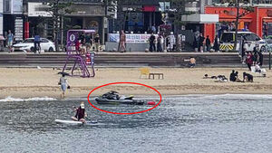 "화장실 가려다"&hellip;'60만 원' 과태료 폭탄 맞았다